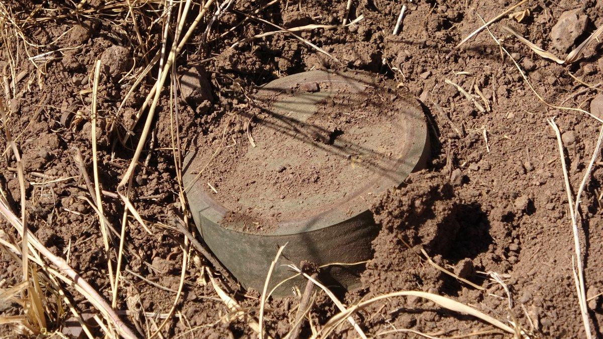 Van’da, İran sınırında zorlu mayın temizleme görevi