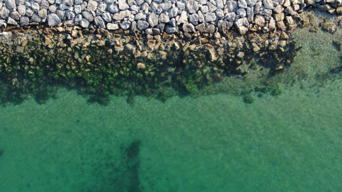 İstanbul sahillerinin müsilajdan arındığı gözlemlendi