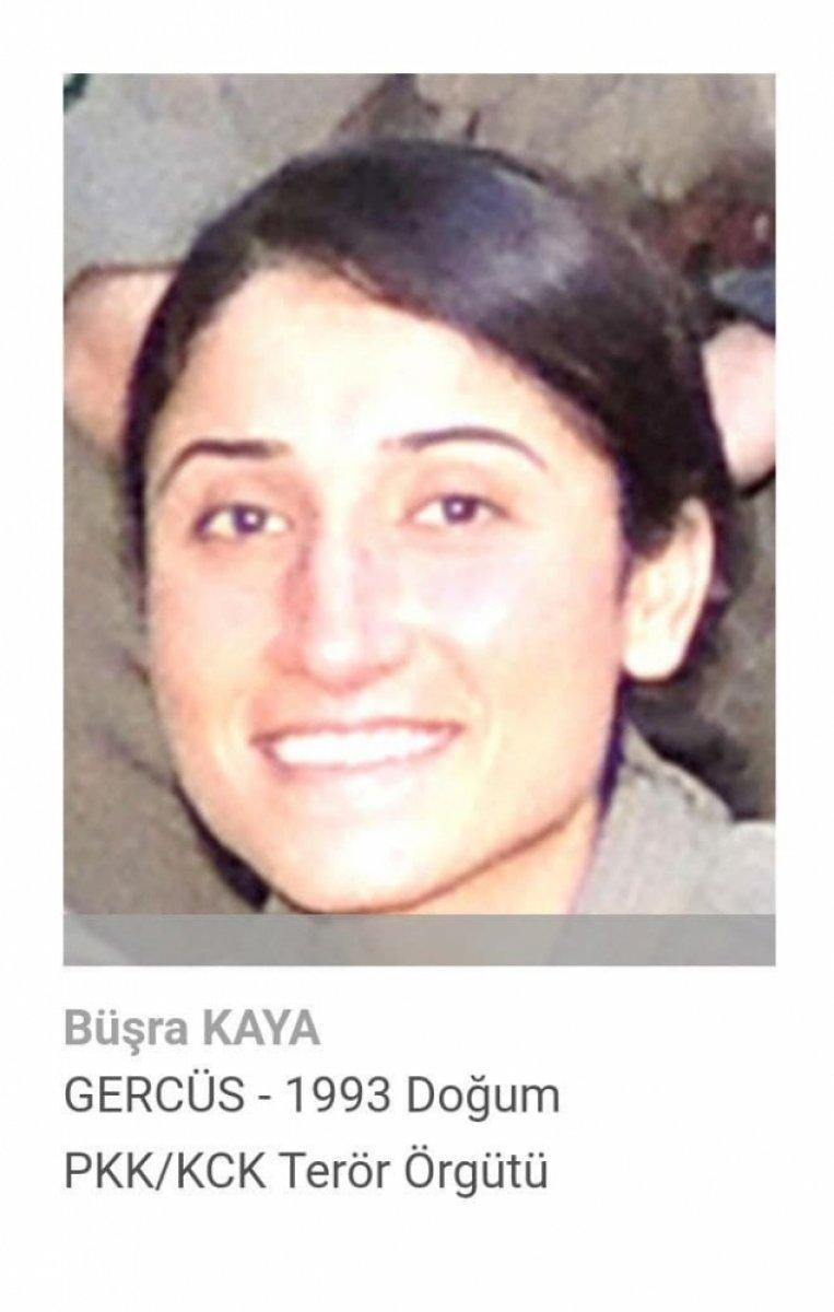 Turuncu ve gri kategorideki teröristler etkisiz hale getirildi