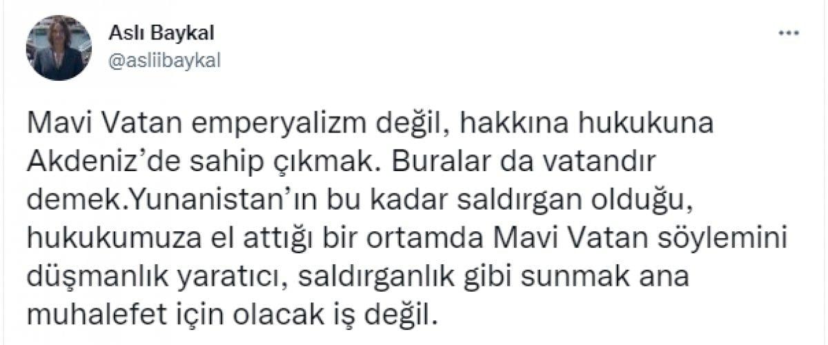 Deniz Baykal'ın kızı Aslı Baykal'dan Ünal Çeviköz'e 'Mavi Vatan' tepkisi