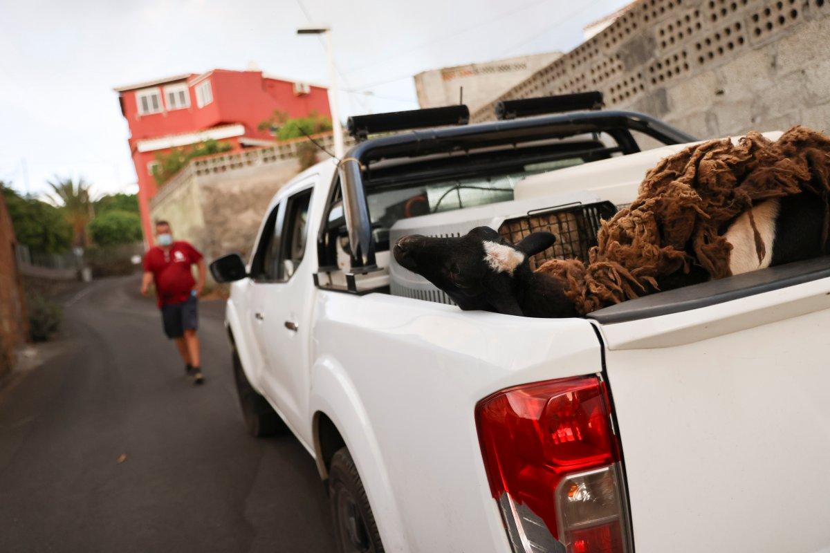 La Palma Yanardağı 100’den fazla evi kül etti