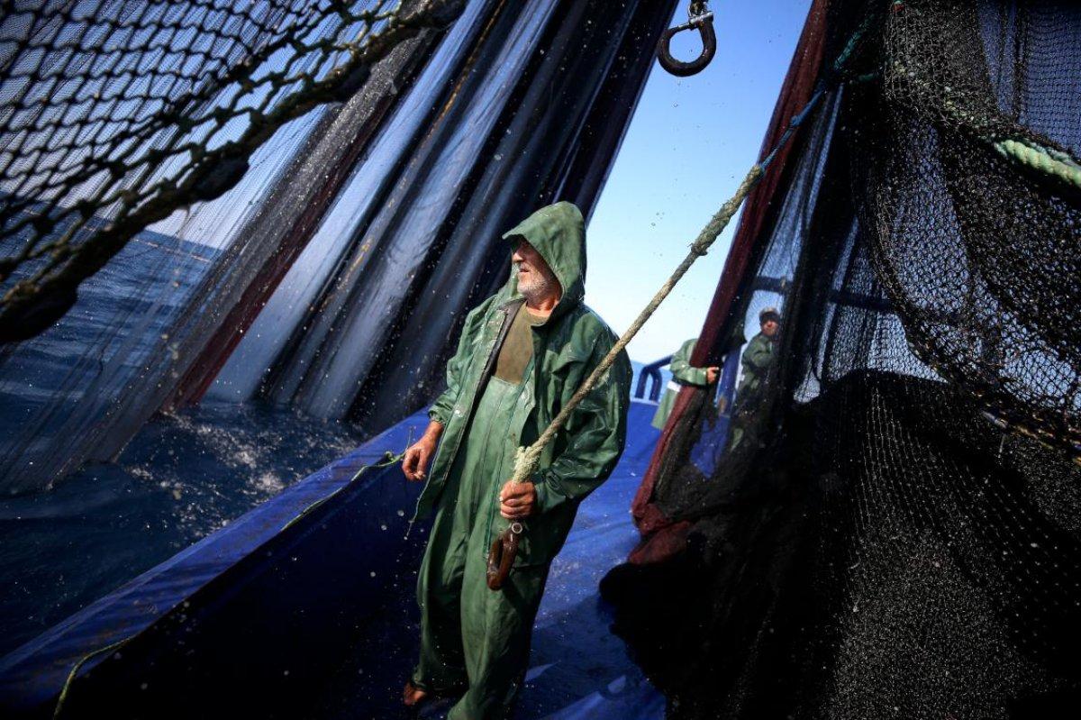 Hataylı balıkçıların av mesaisi başladı