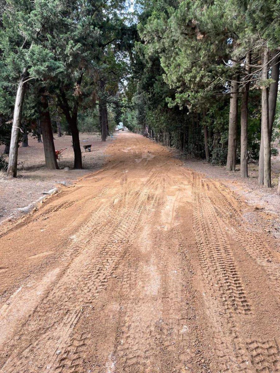 Üsküdar Belediyesi'nden Validebağ Korusu'na ilişkin açıklama