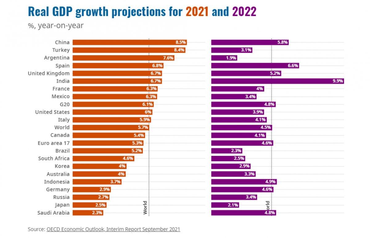 OECD Türkiye büyüme tahmini