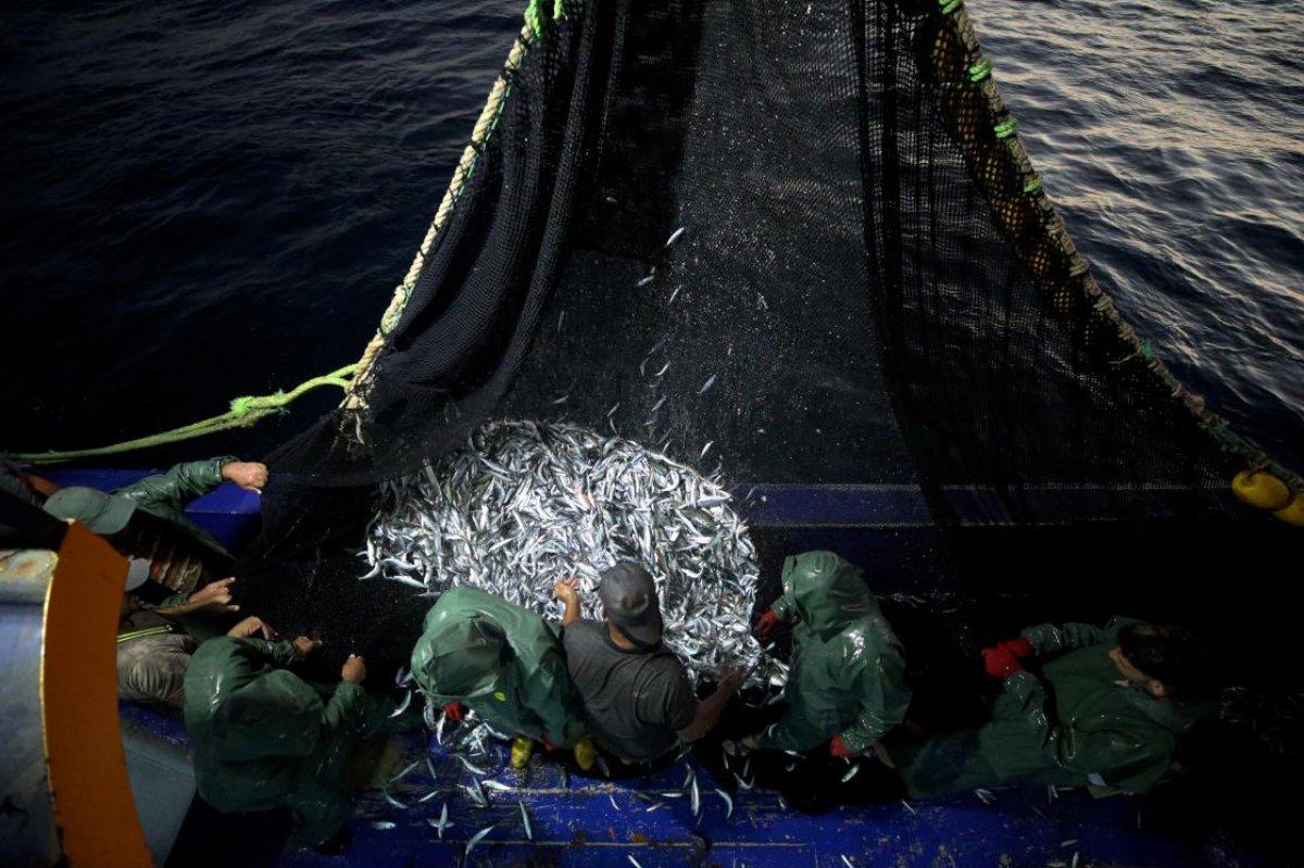 Hataylı balıkçıların av mesaisi başladı