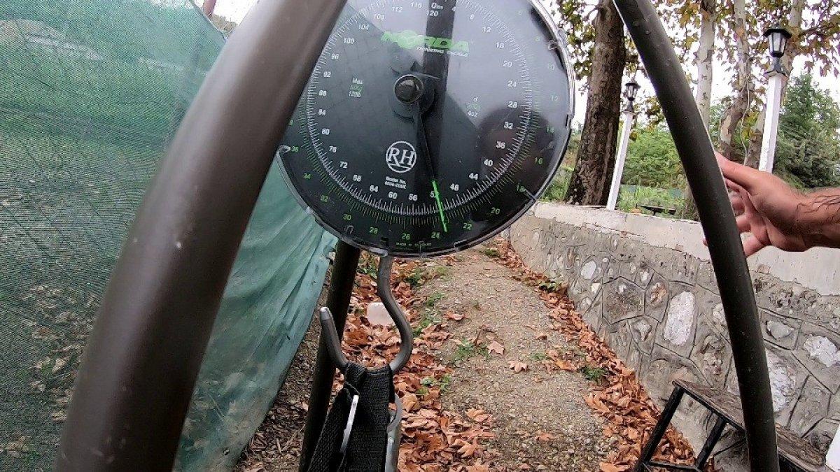 Sakarya'da sezonun rekoru kırıldı: 23 kiloluk sazan balığı yakaladı