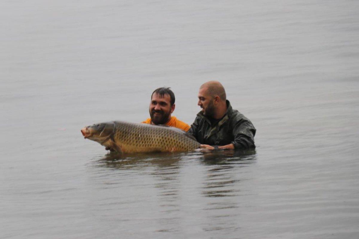 Sakarya'da sezonun rekoru kırıldı: 23 kiloluk sazan balığı yakaladı