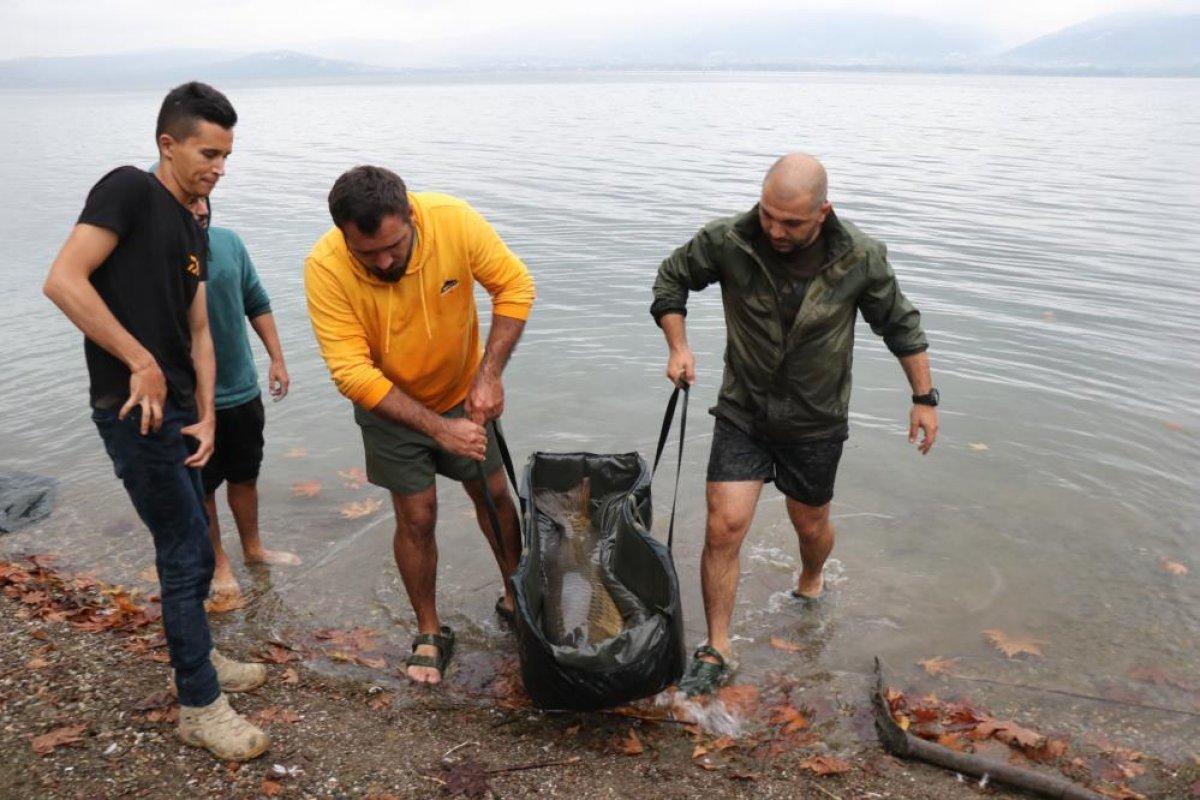 Sakarya'da sezonun rekoru kırıldı: 23 kiloluk sazan balığı yakaladı