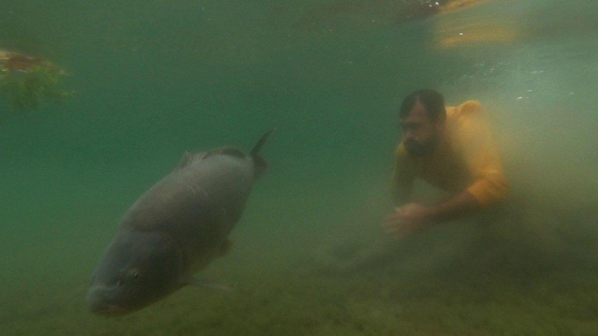 Sakarya'da sezonun rekoru kırıldı: 23 kiloluk sazan balığı yakaladı