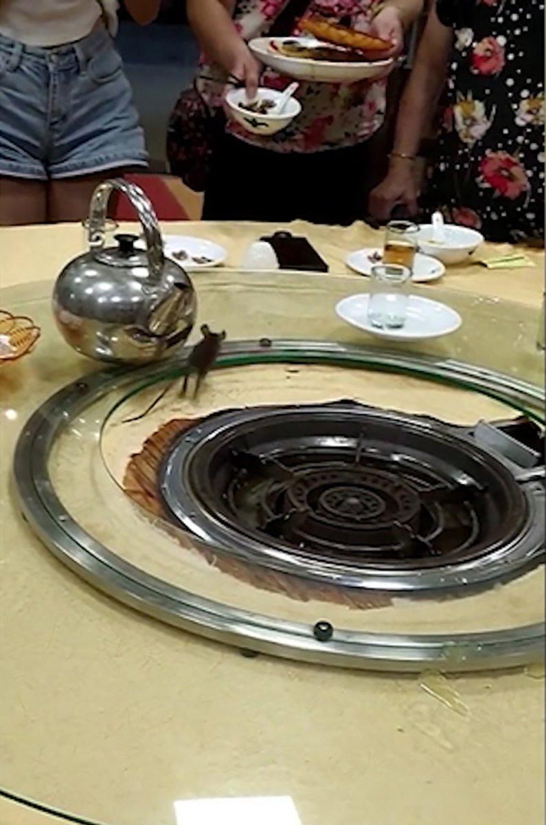 Çin'de restoranda fare paniği