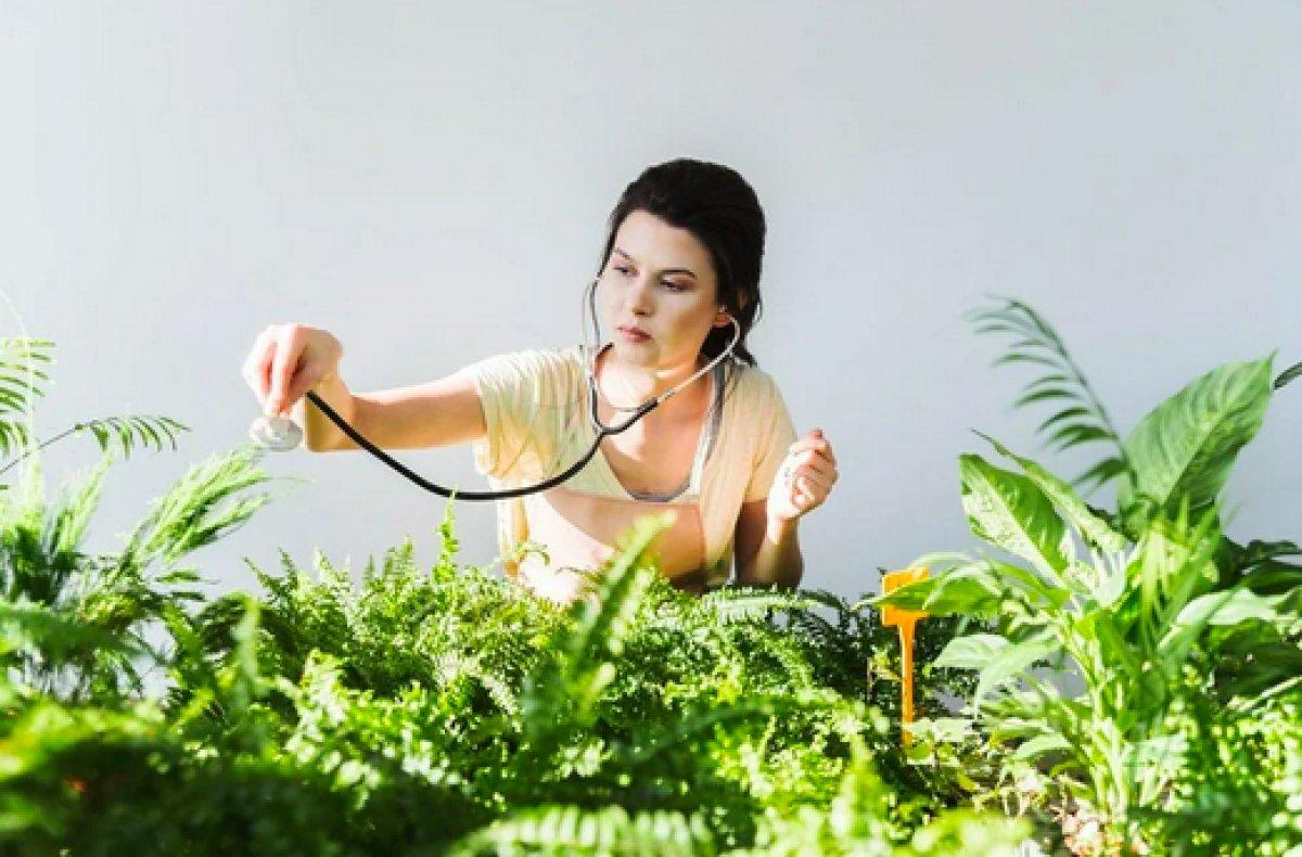 ABD'li araştırmacılar yenilebilir aşı üzerine çalışmalar yapıyor