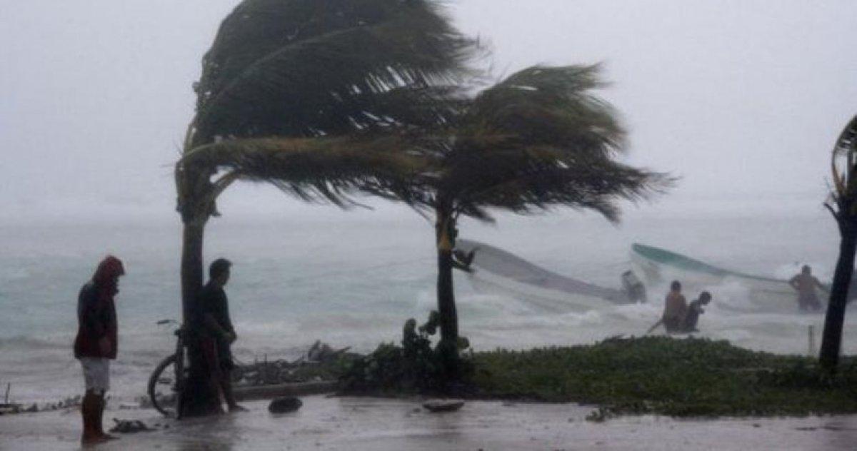 Buz gibi esecek! Kestane Karası nedir, kaç gün sürer?