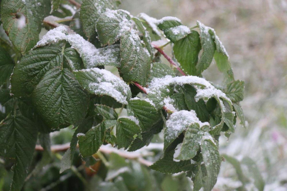 Bolu'ya yılın ilk karı düştü