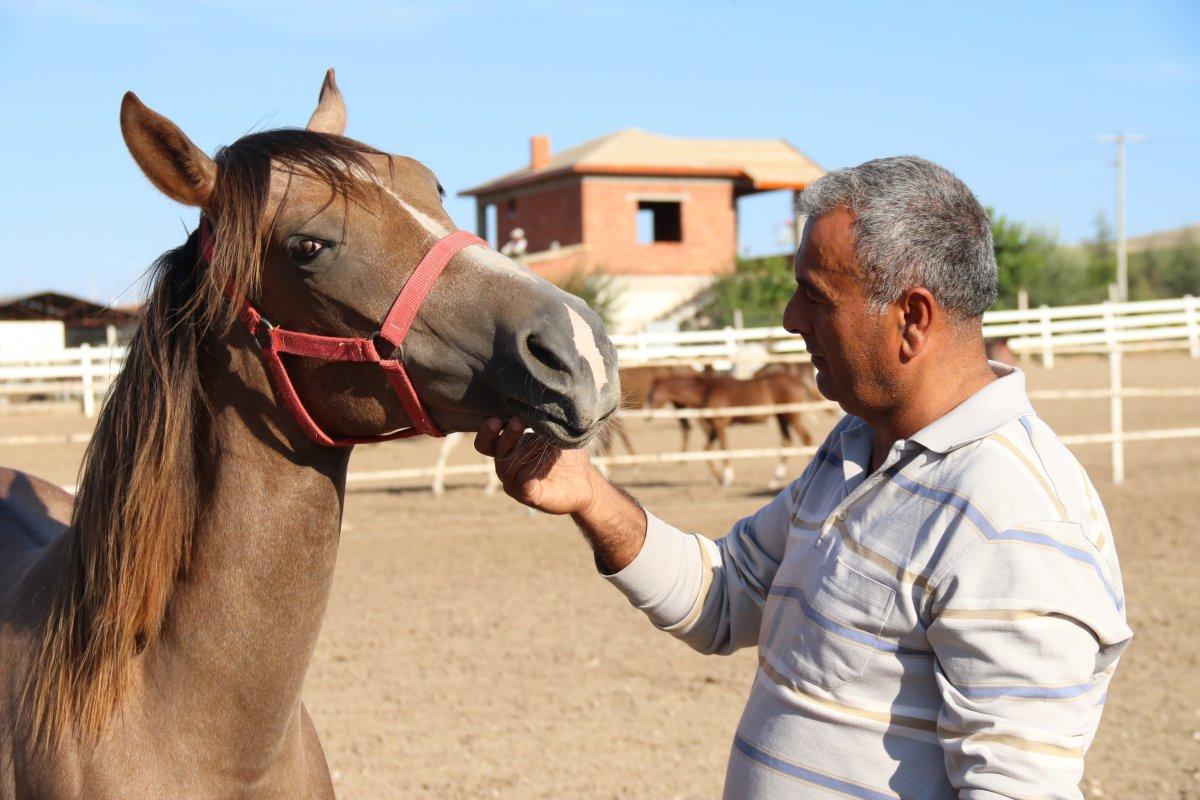 Eskişehir’de 900 bin liraya satılan özel taylar