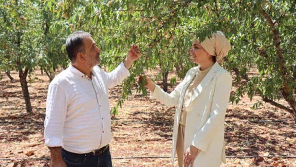 Veterinerliği bıraktı, badem üreticisi oldu