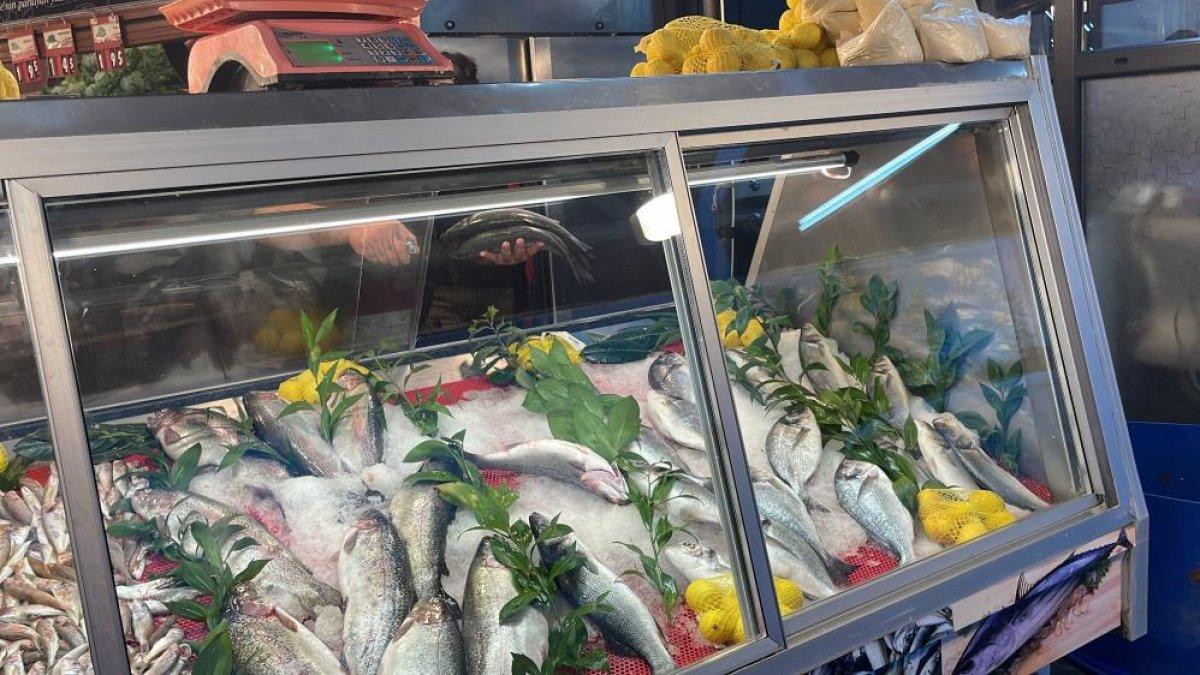 Düzce'de palamuttan yüzü gülmeyen balıkçılar hamsiyle güldü