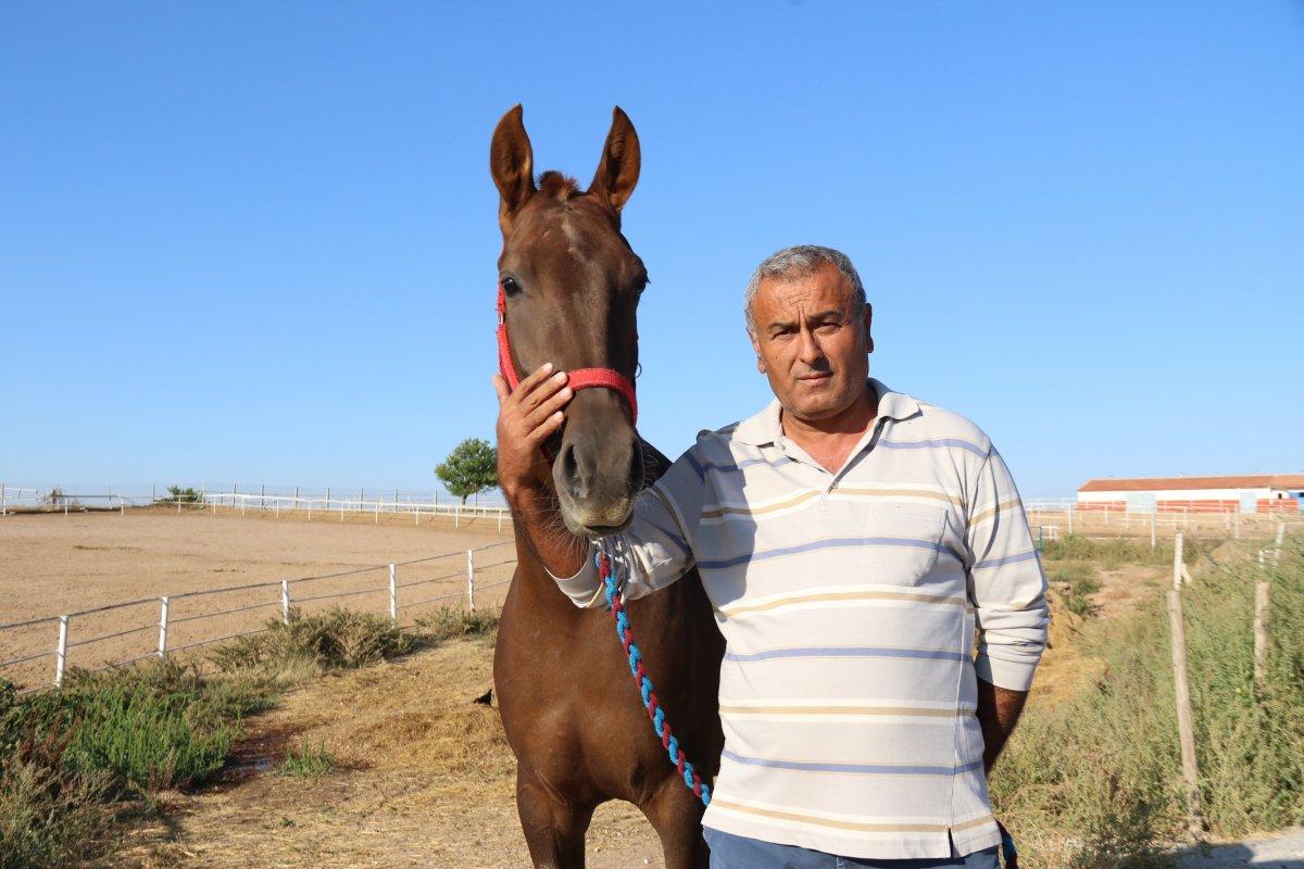 Eskişehir’de 900 bin liraya satılan özel taylar