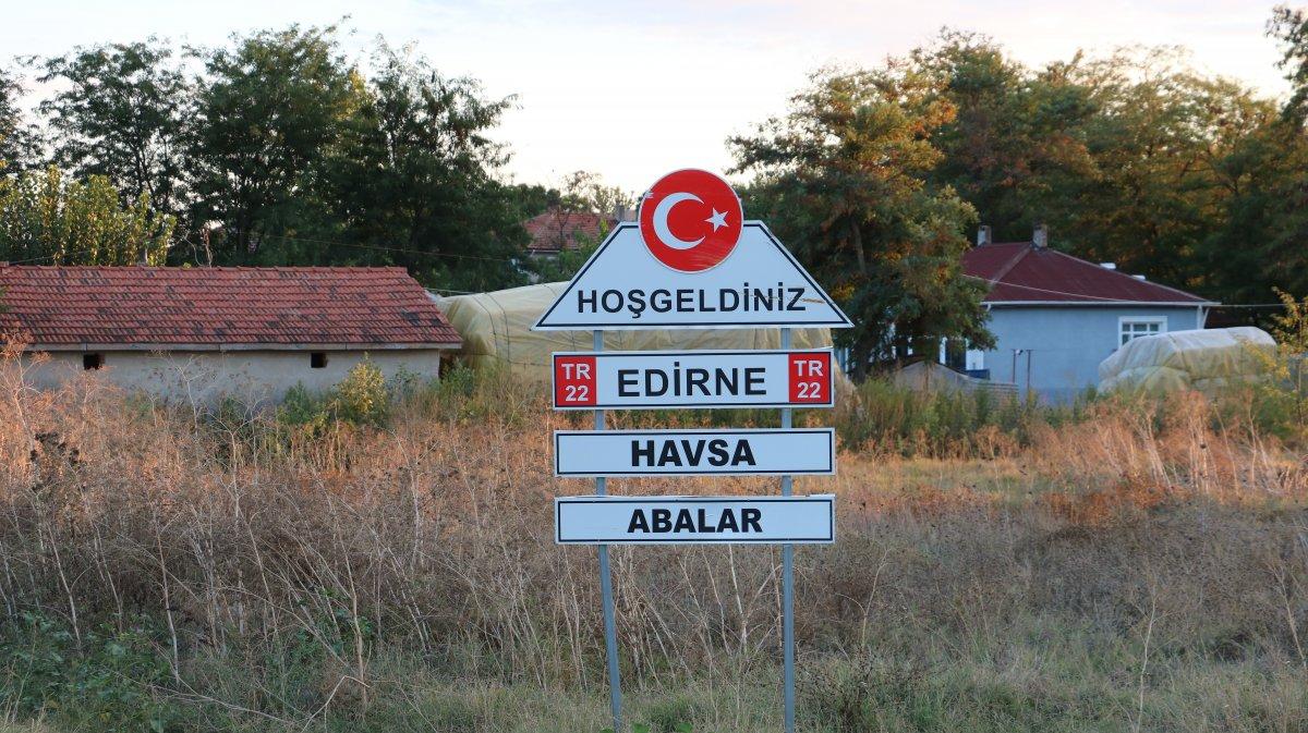 Edirne’de kan emen sinek hayvanlara hastalık bulaştırdı