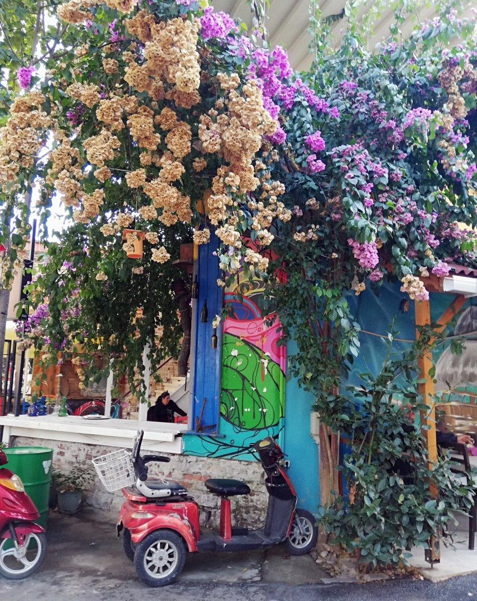 Adalar akülü araçlar için ikiye bölündü