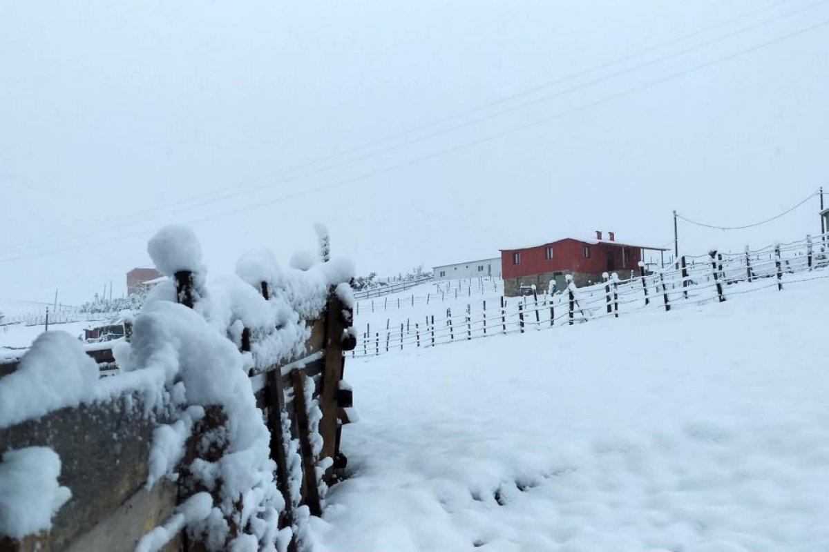 Gümüşhane'nin yüksek tepeleri beyaza büründü