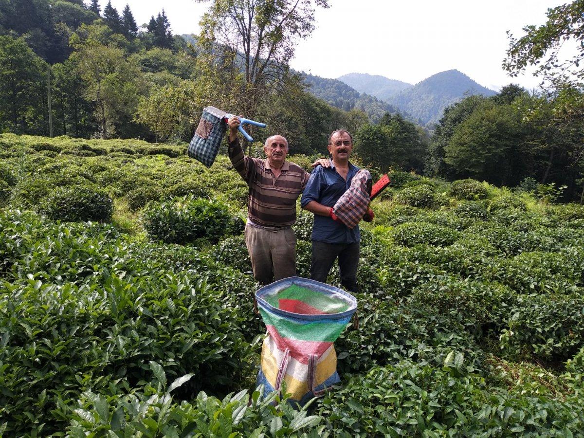 Rize'de hasta komşularının yaş çaylarını topladılar