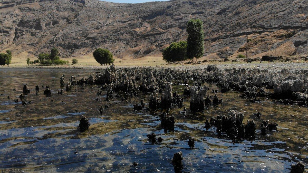 Van Gölü’nün suyu çekildi, binlerce yıllık mikrobiyalitler gün yüzüne çıktı