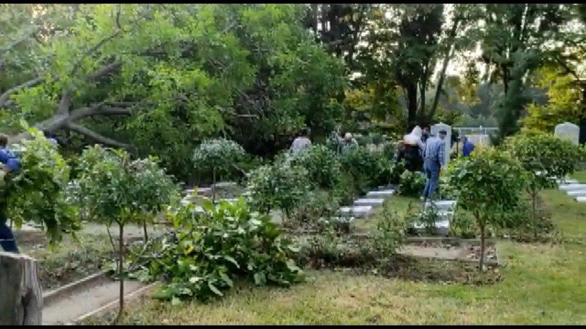 Edirnekapı Şehitliği’ndeki ağaç kesimi tepki topladı