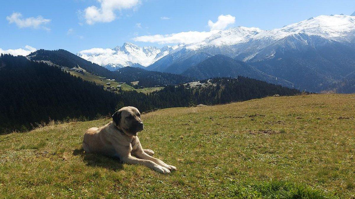 Kaçkar Dağları'ndaki kar güzel görüntüler oluşturdu