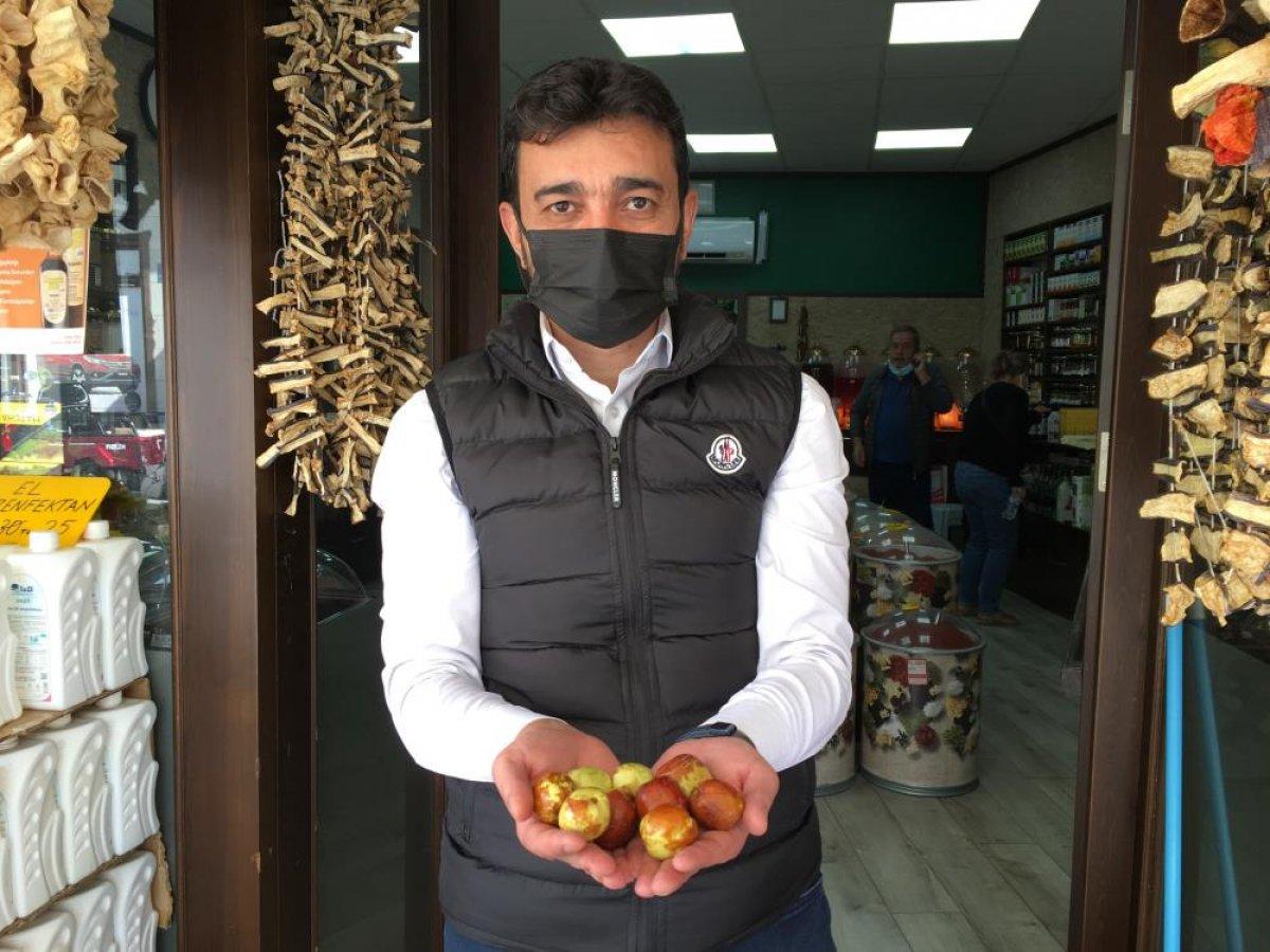 Eskişehir'de sezonu başlayan hünnapa ilgi yoğun