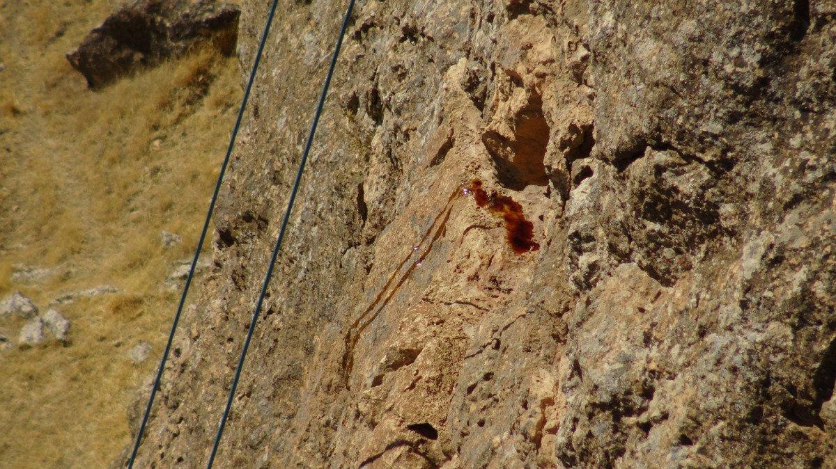 Batman'da kaya balına ulaşmak için ölümü göze alıyorlar