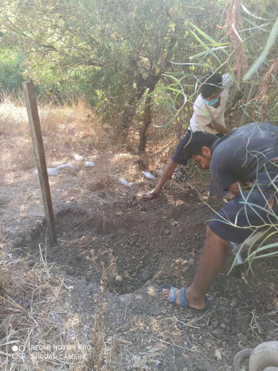Muğla'da deniz kirliliği caretta carettanın ölümüne neden oldu