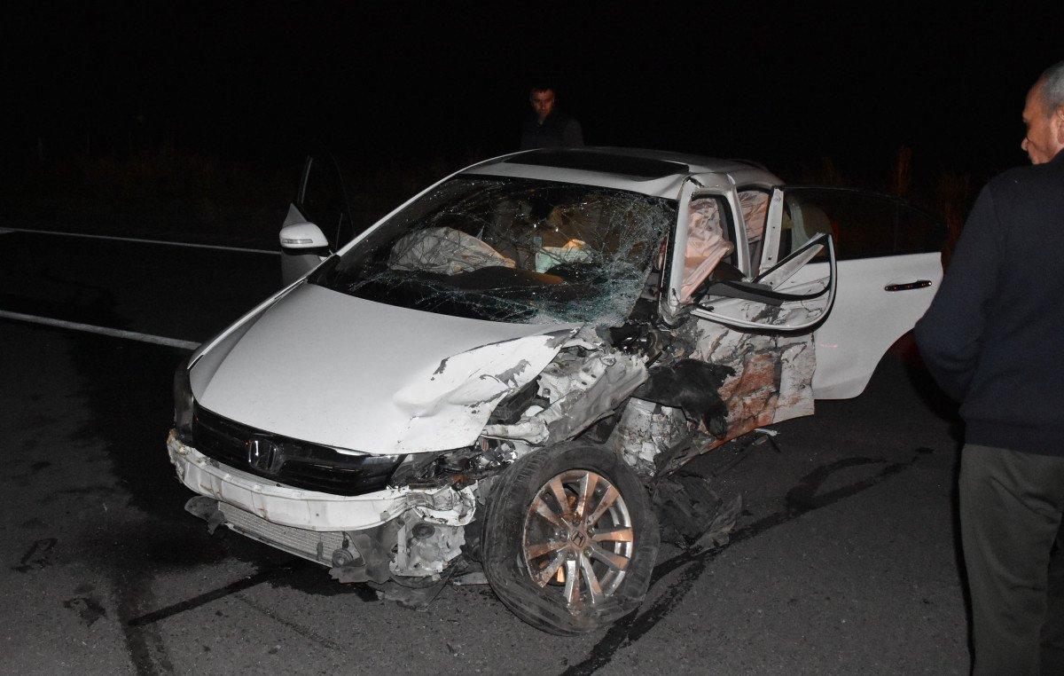 Sivas'ta yola çıkan domuz sürüsü kazaya neden oldu