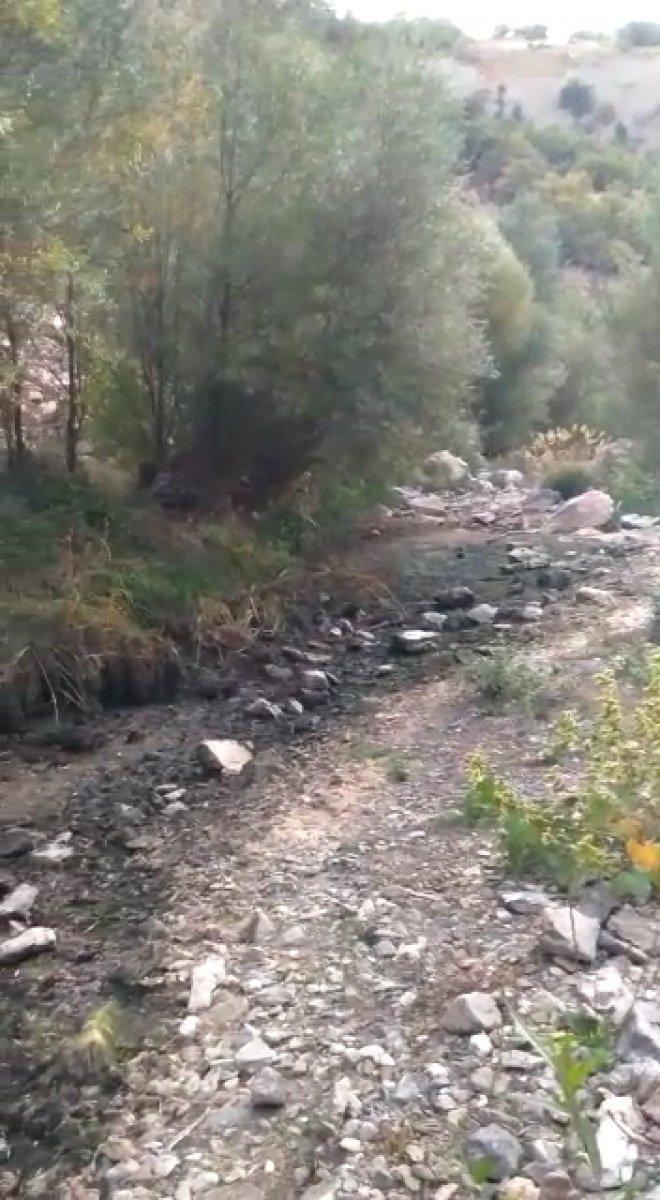 Konya’daki Afşar Hadimi Barajı’nda binlerce balık telef oldu