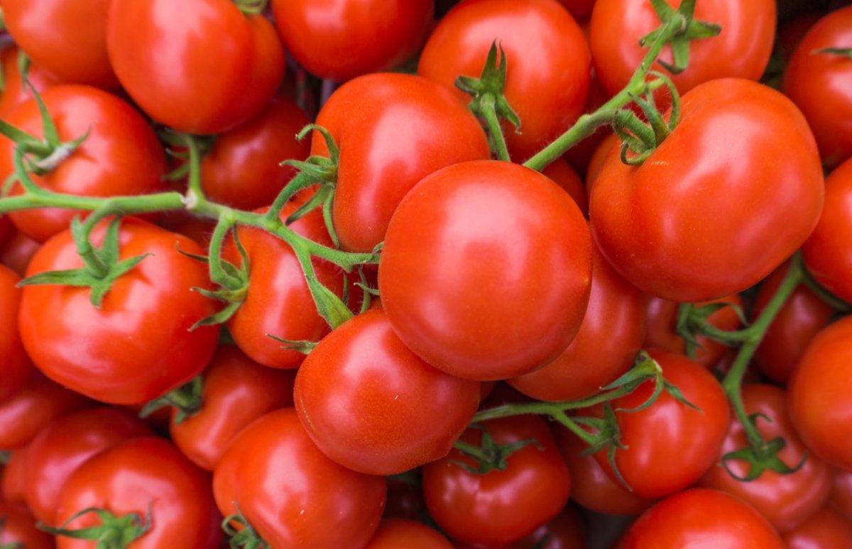 Kilo vermek için 6 sabah alışkanlığı