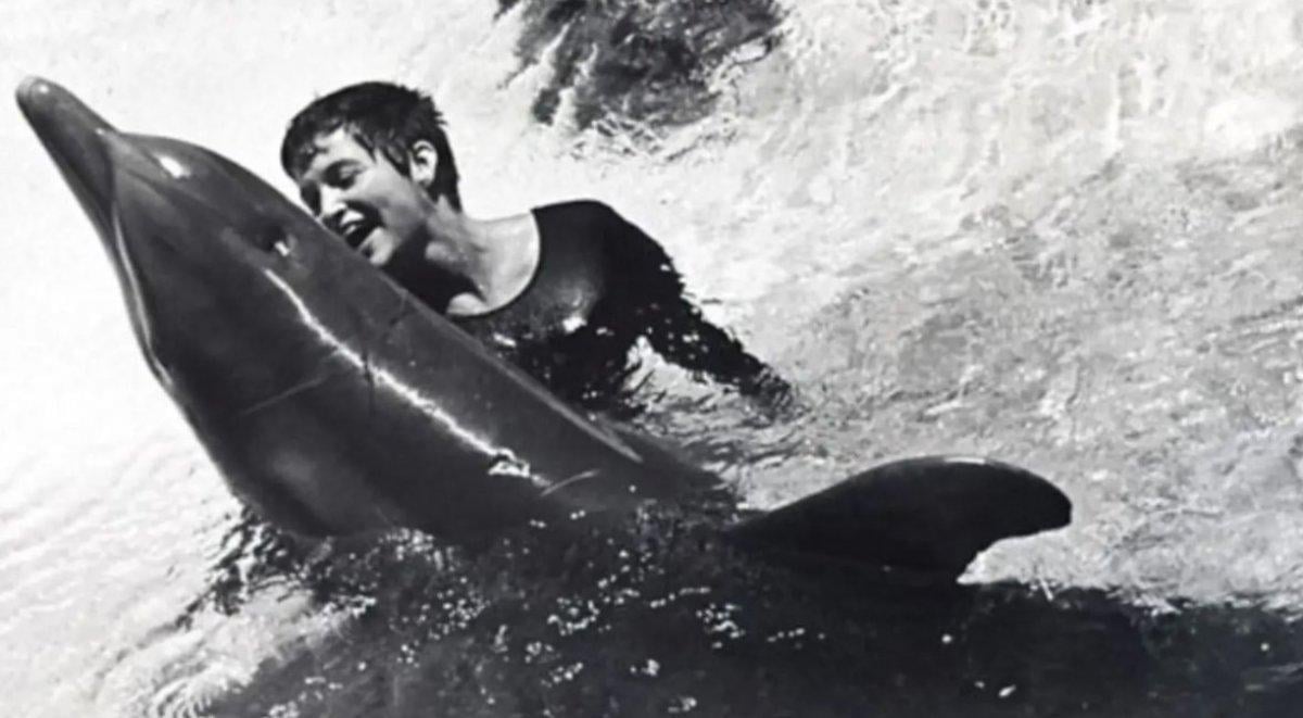 NASA projesinde olan bir kadın, geçmişte yunus balığı ile cinsellik yaşadığını söyledi