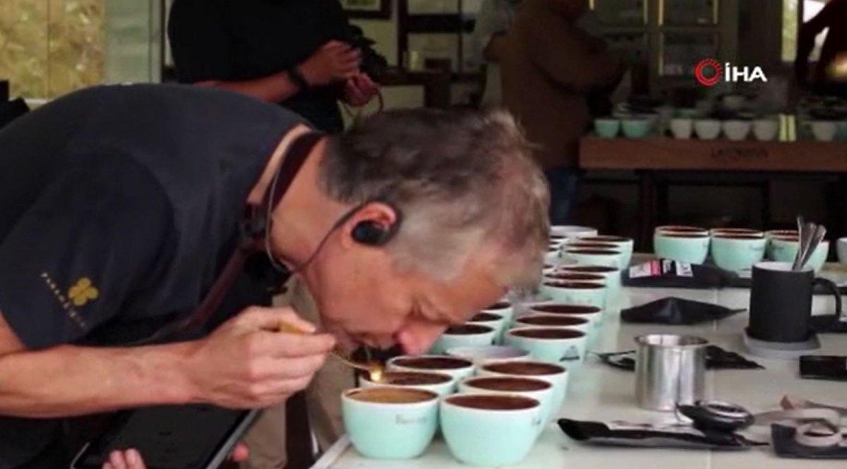 Panama’da, Geisha kahvesinin yarım kilosu rekor fiyata satıldı