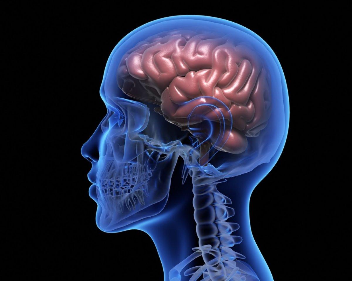 Vücutta stresten etkilenen 10 bölge