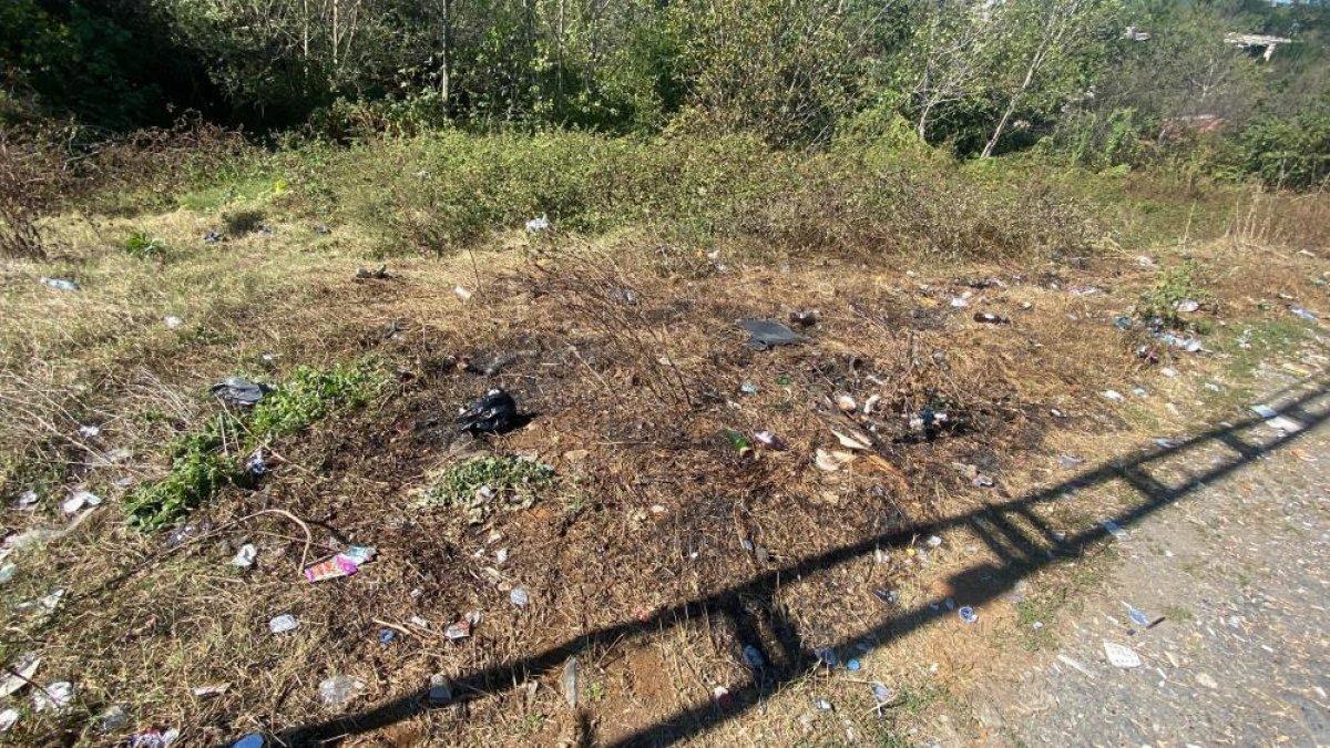 Kağıthane'de yeşil alanı kundaklayan şahıs yakalandı