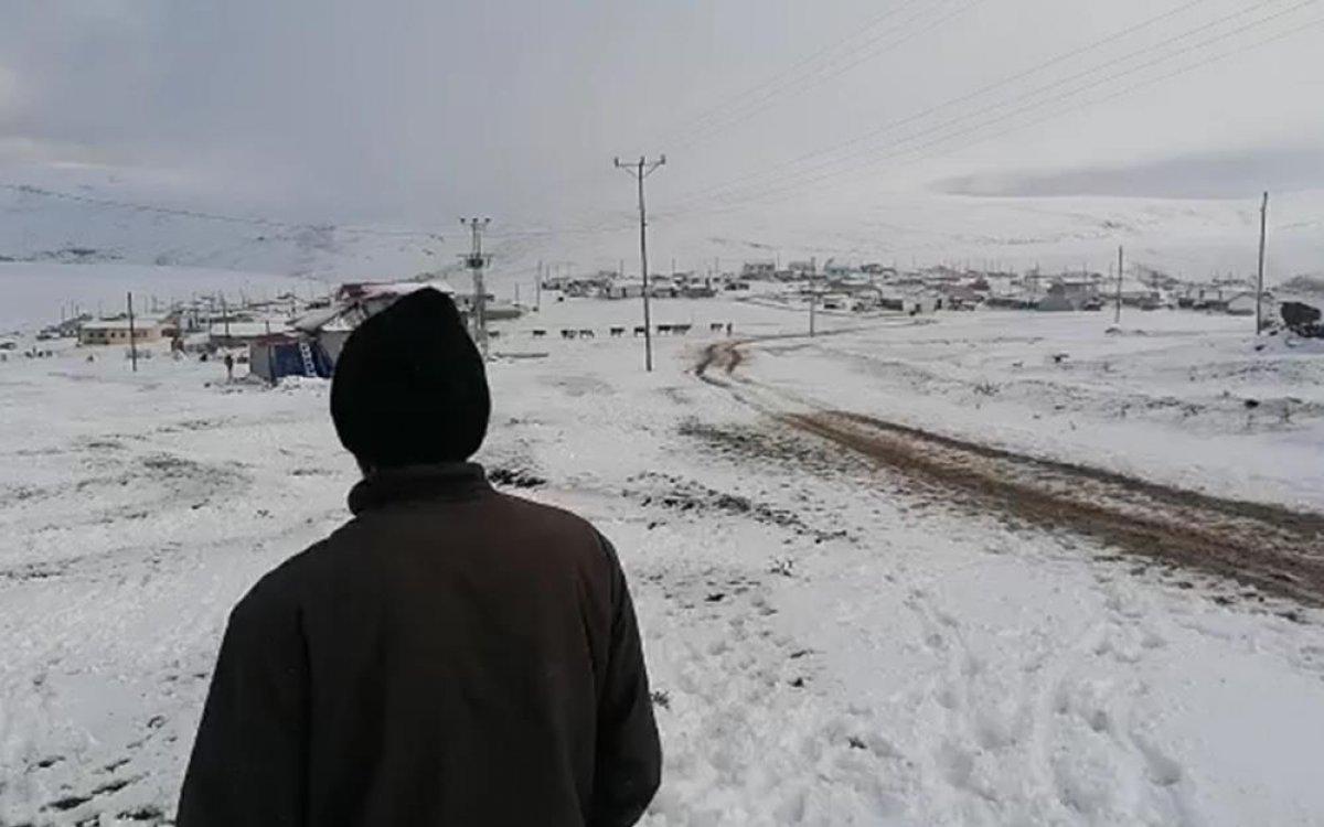 Ardahan'da kış erken başladı: Besiciler mağdur oldu