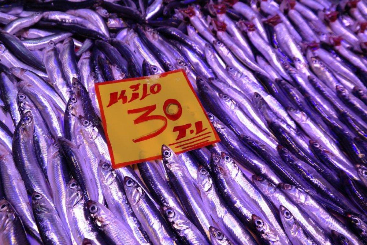 Eskişehir'de tezgahtaki balıklar soğuk havaları bekliyor