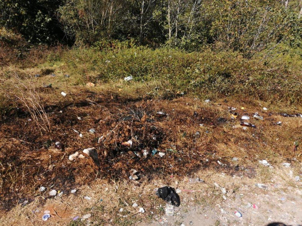 Kağıthane'de yeşil alanı kundaklayan şahıs yakalandı