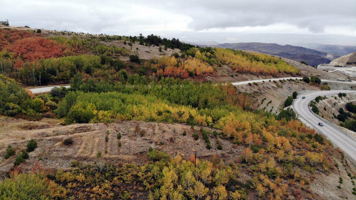Kop Dağı'nda sonbahar