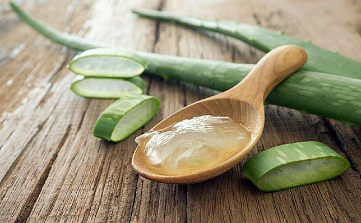 Aloe vera bitkisi nasıl yenir? İşte tüketebilmeniz için 5 yöntem