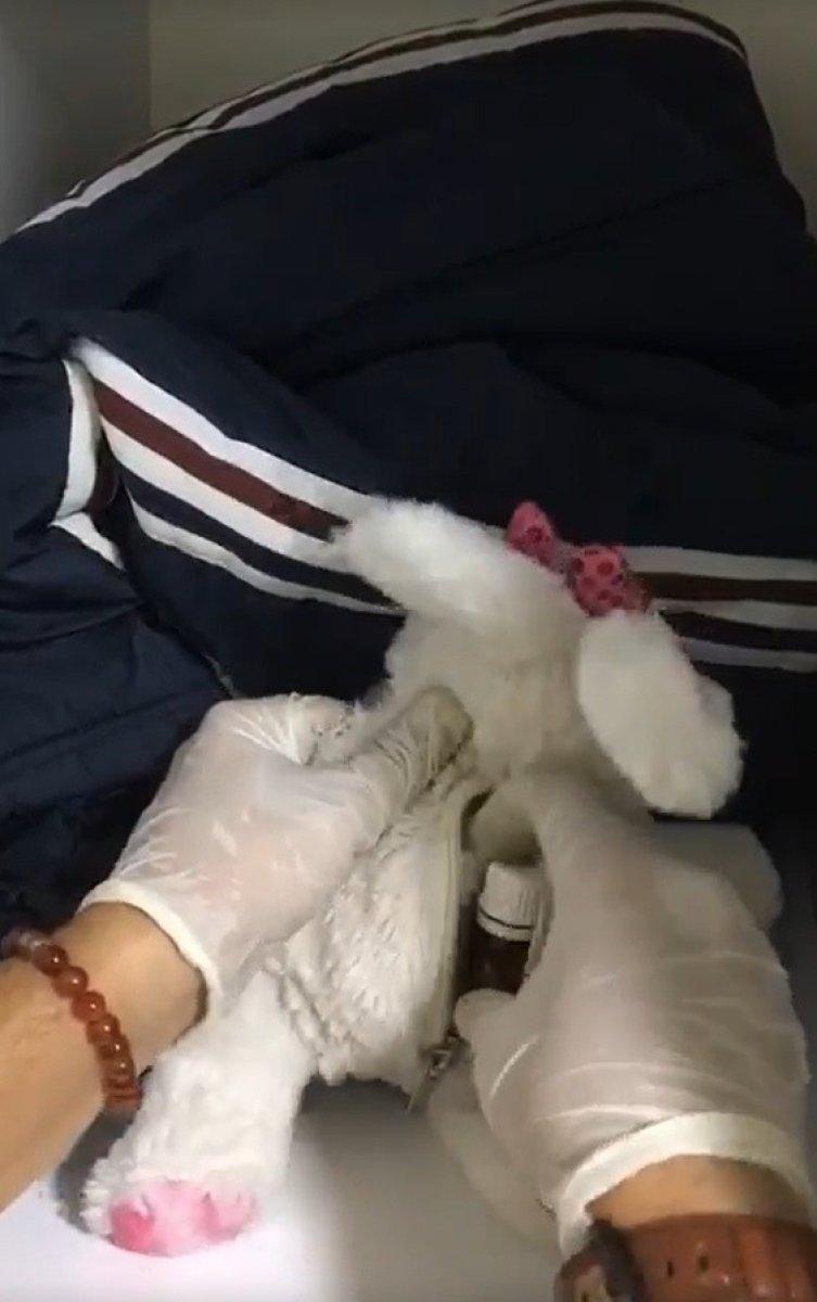 Konya'da oyuncağın içine uyuşturucu gizlediler