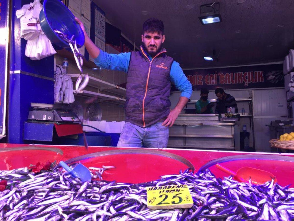Eskişehir'de hava sıcaklığı ile birlikte hamsinin de fiyatı düştü