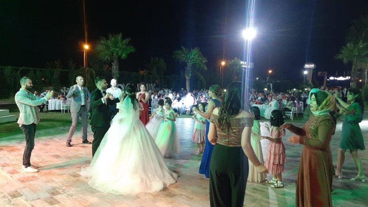 Osmaniye'de evlenen çift, sokak hayvanlarını unutmadı