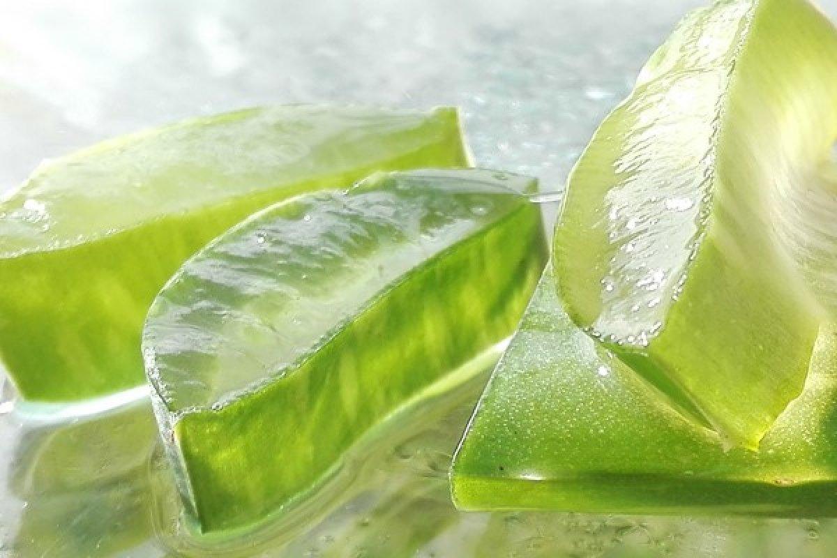 Aloe vera bitkisi nasıl yenir? İşte tüketebilmeniz için 5 yöntem