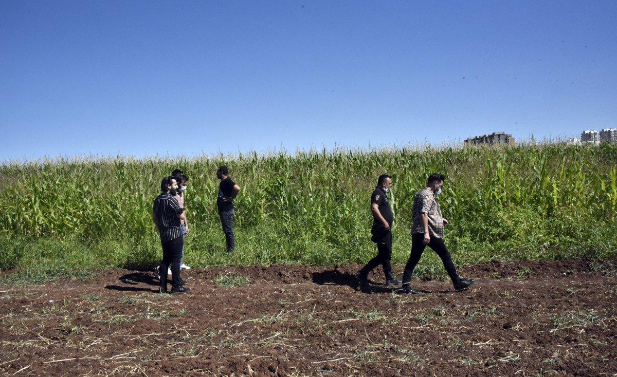 Şanlıurfa’da, fıstık bahçesinde 17 kaçak göçmen yakalandı