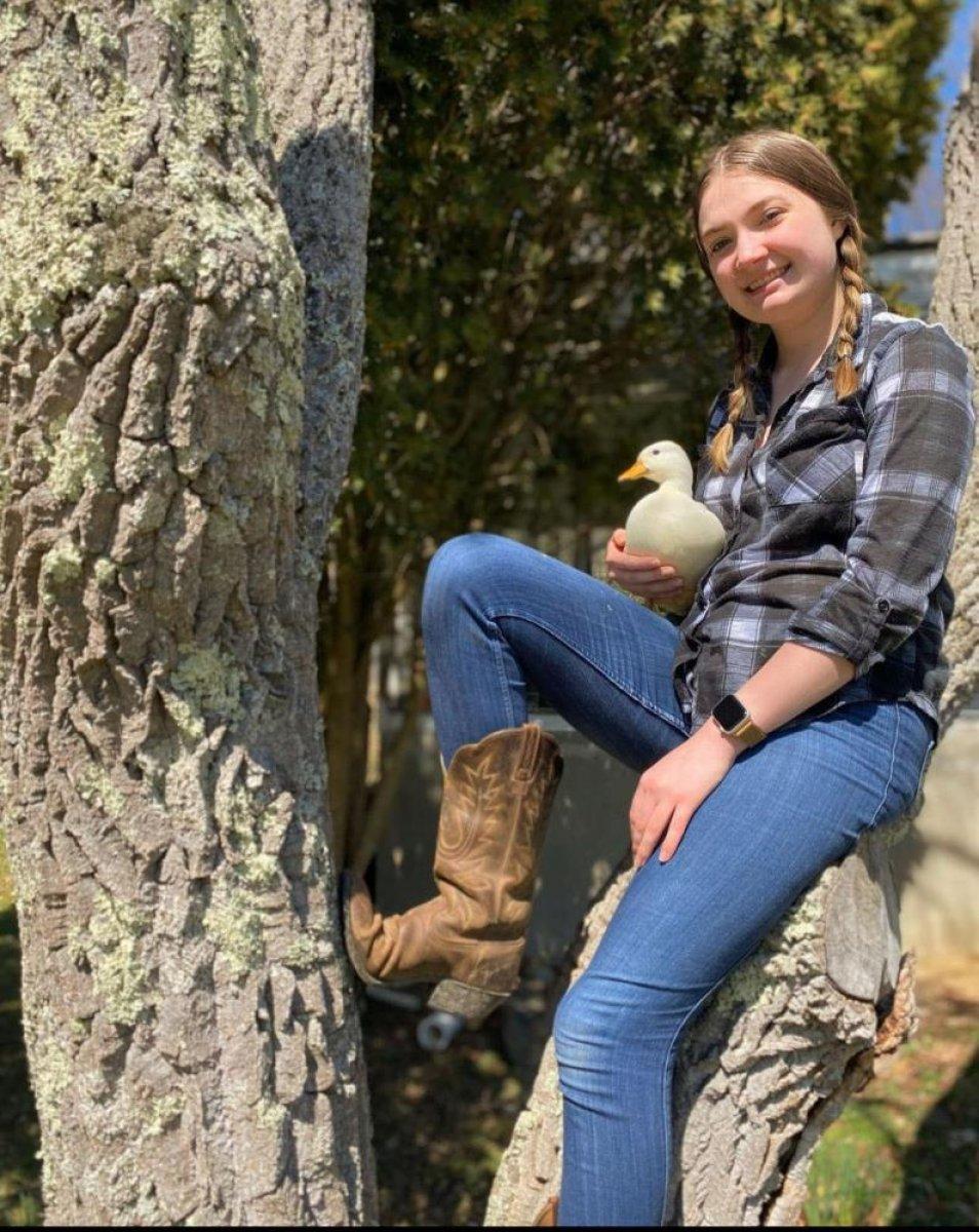 ABD'deki fenomen ördek ayda 4 bin 500 dolar kazanıyor