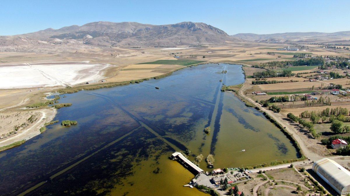 Sivas'ta turkuaz göl sarıya dönerken, balık ölümleri görüldü